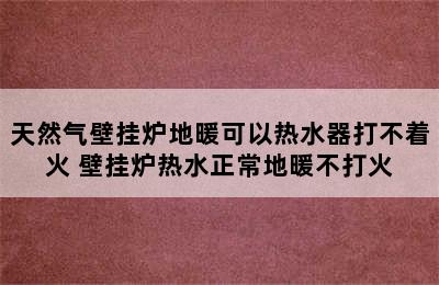 天然气壁挂炉地暖可以热水器打不着火 壁挂炉热水正常地暖不打火